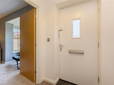 Picture 28